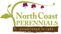 North Coast Perennials